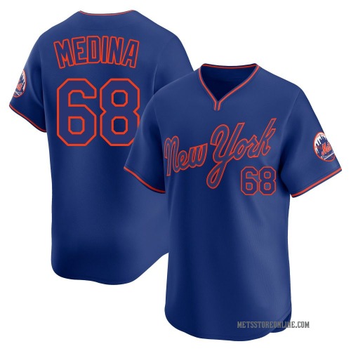 Adonis Medina New York Mets Youth Limited Alternate 2 Jersey - Royal